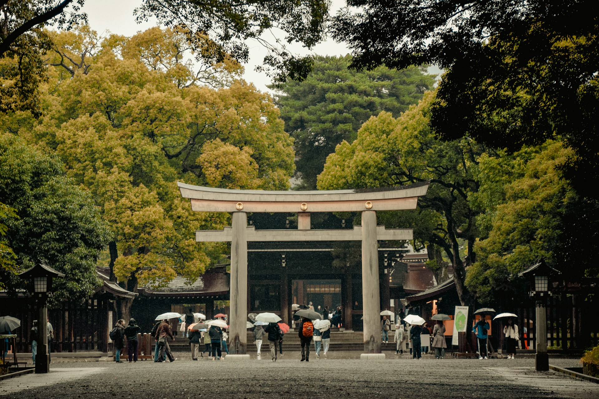 Santuario Meiji (Meiji Jingu)