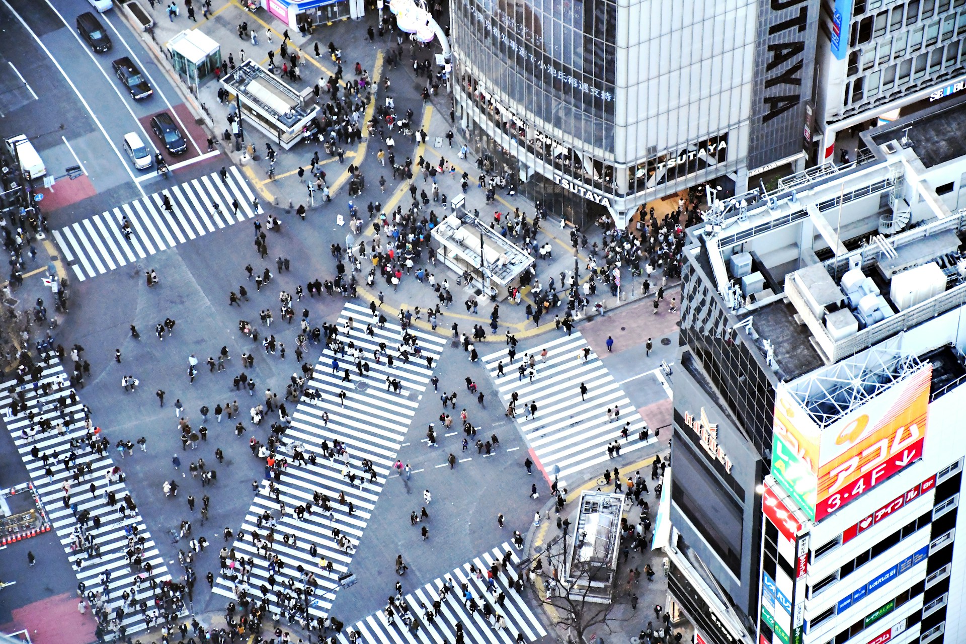 渋谷交差点