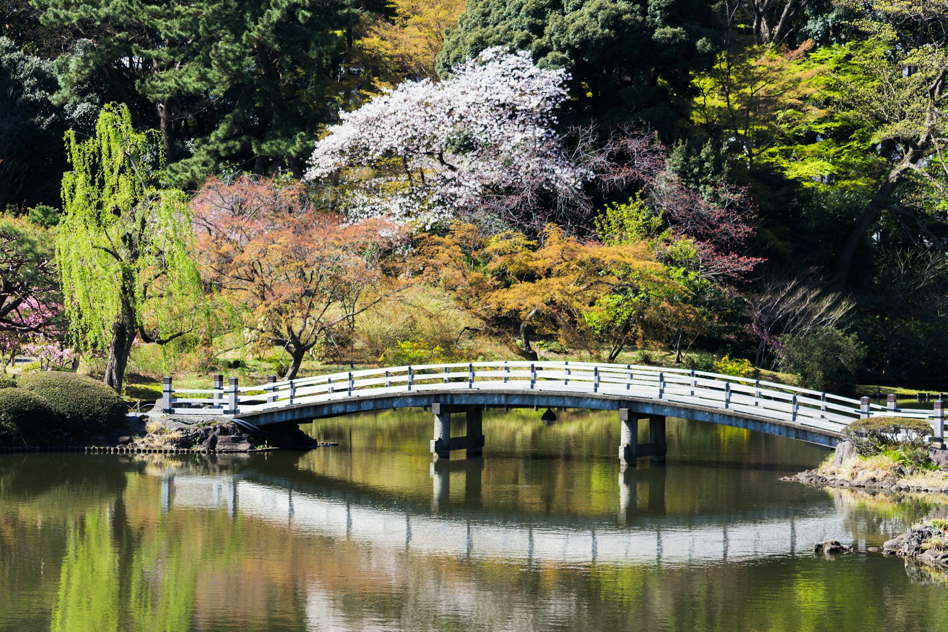 Giardino Nazionale Shinjuku Gyoen