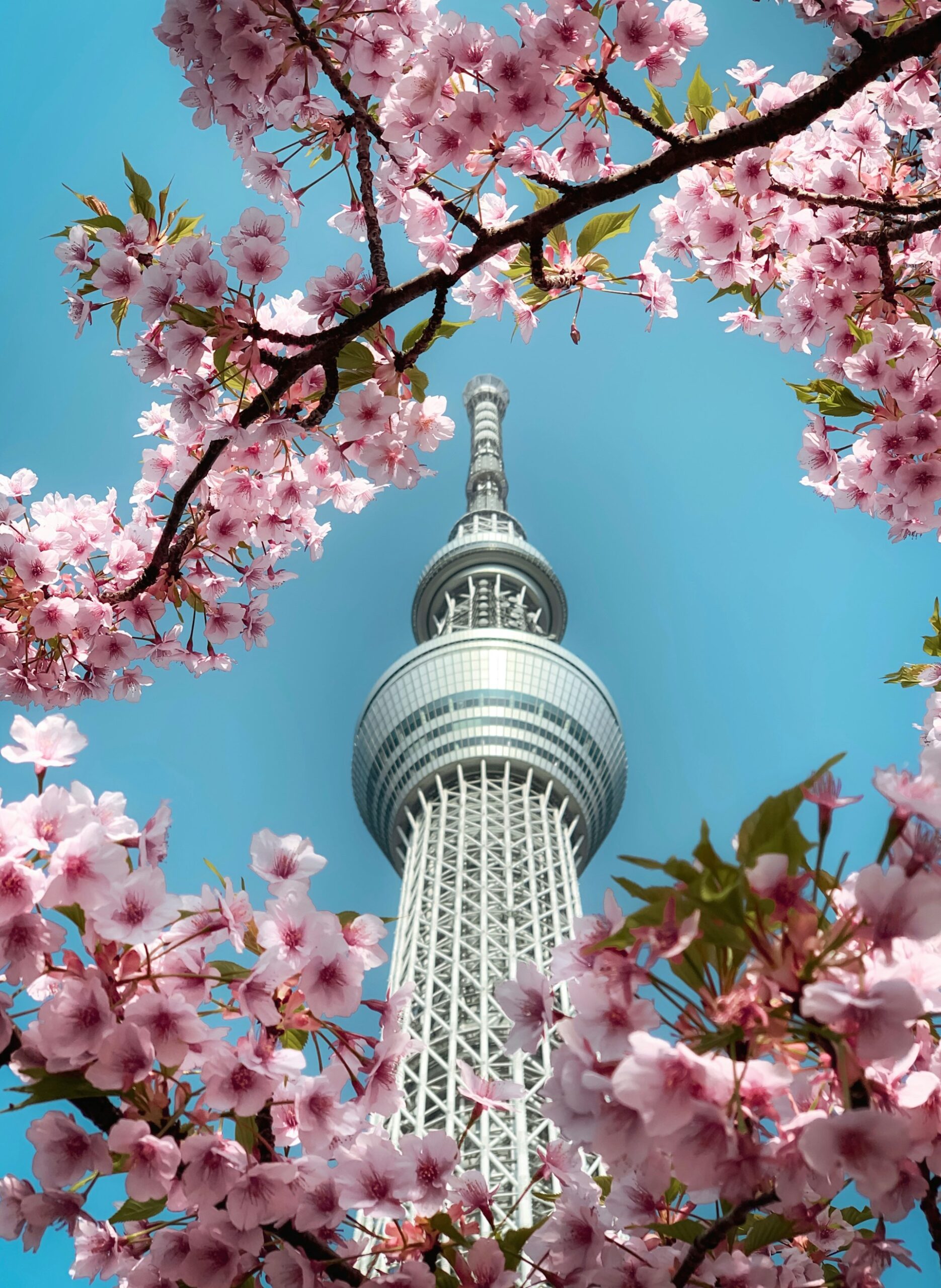 Tokyo Skytree