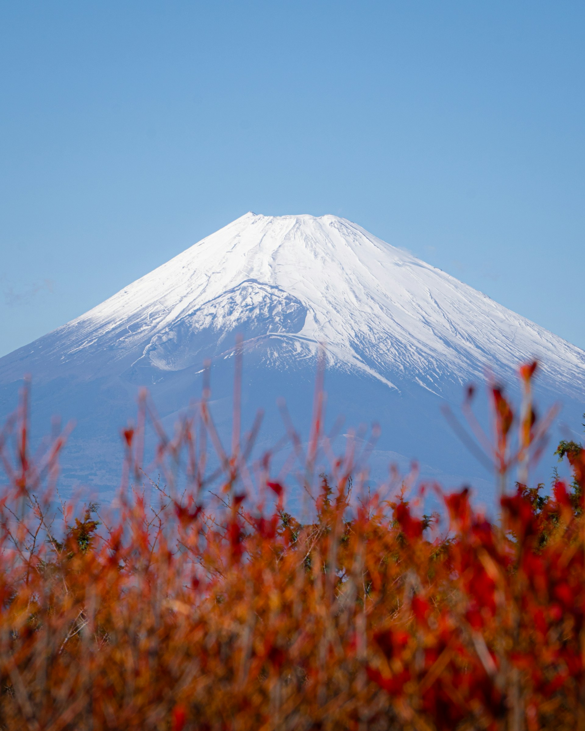 top_europe_season_autumn_mtfuji_01