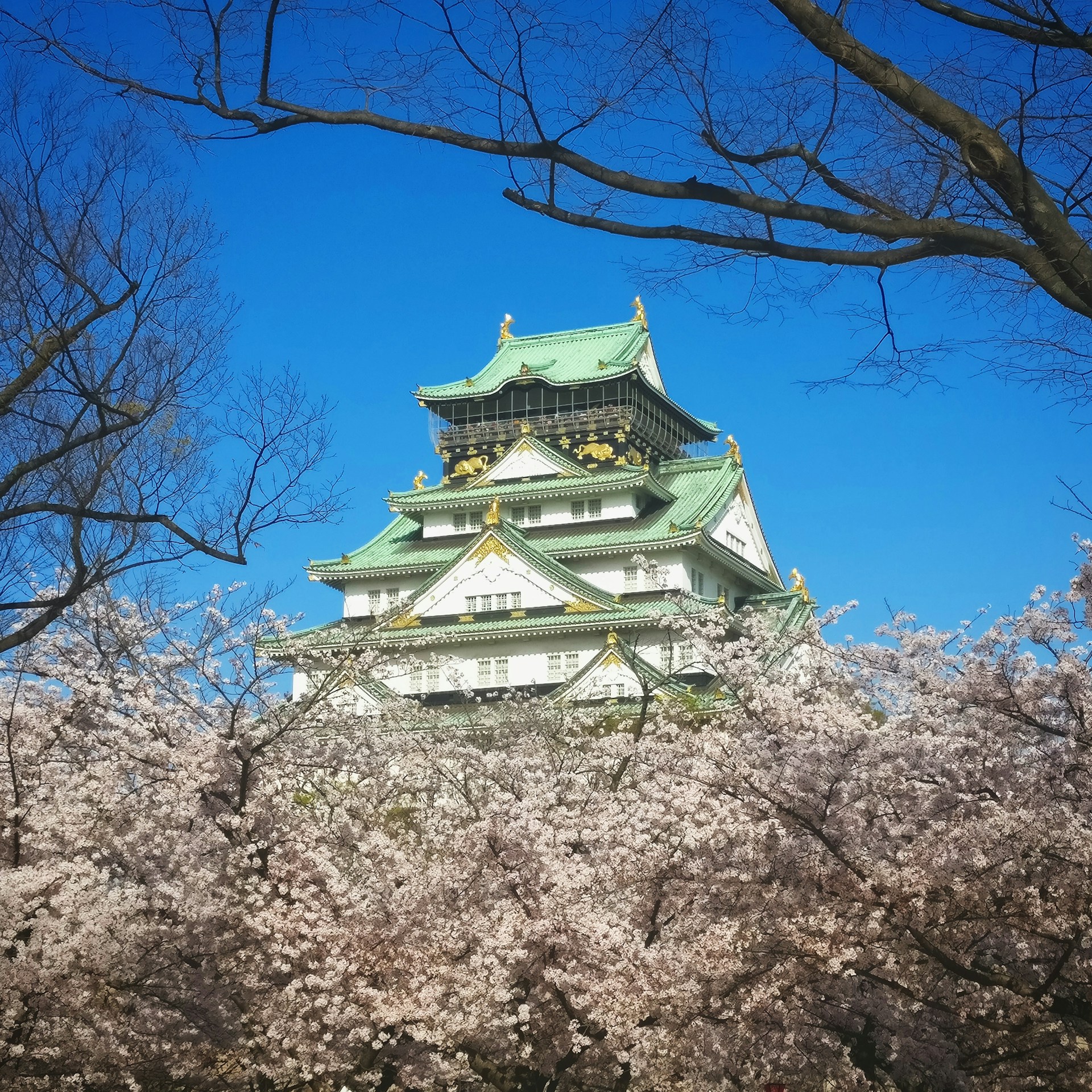 top_europe_season_spring_osaka_castle