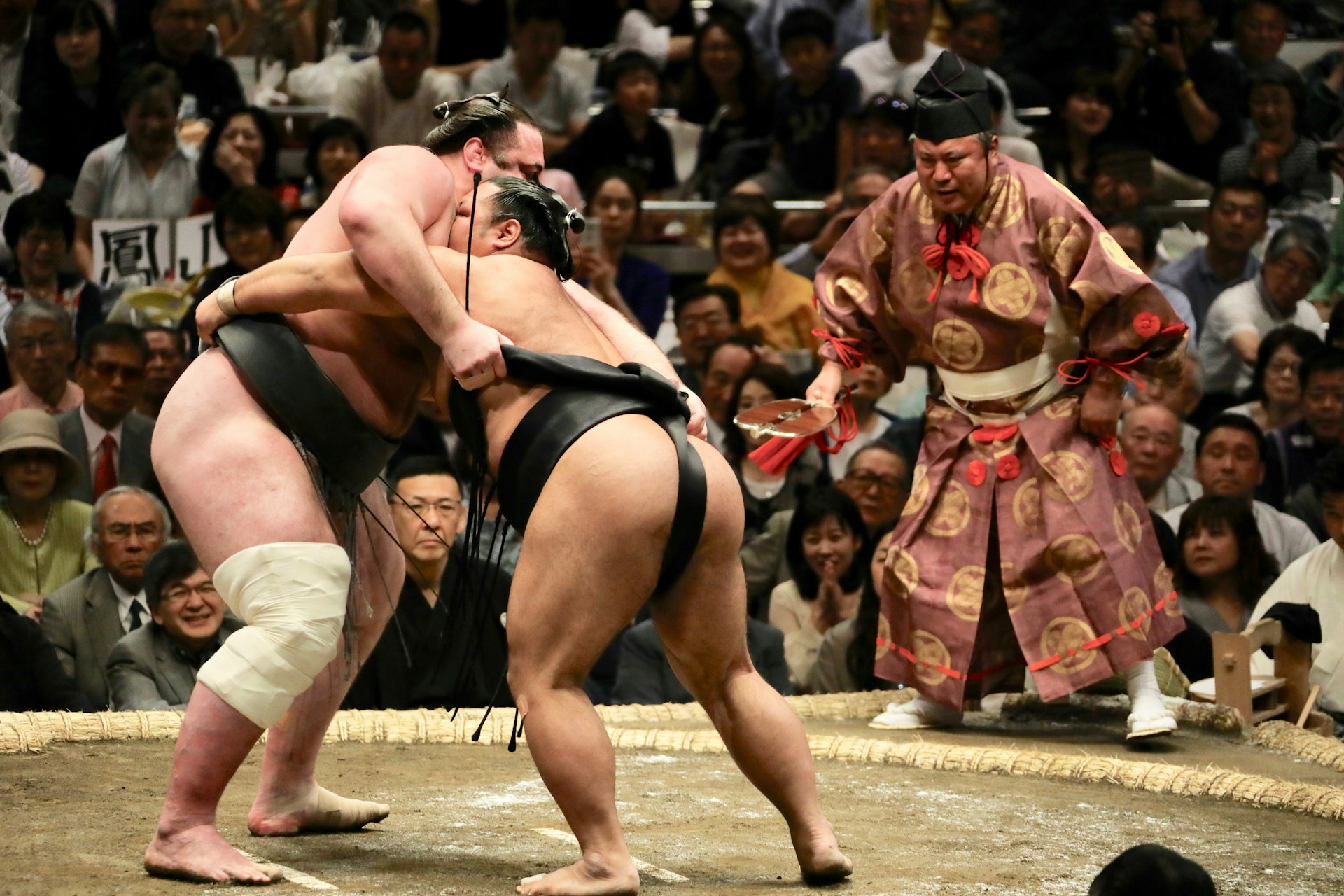 top_europe_traditional_sumo